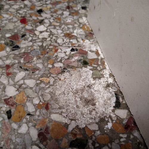 The Ultimate Guide To Terrazzo Floors Craftsman Blog
