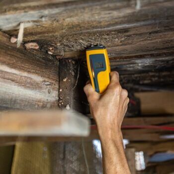 How To: Use A Wood Moisture Meter - The Craftsman Blog