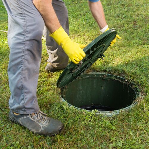 GreenPig Septic Tank Treatment 1-Year Supply 52 - The Home Depot